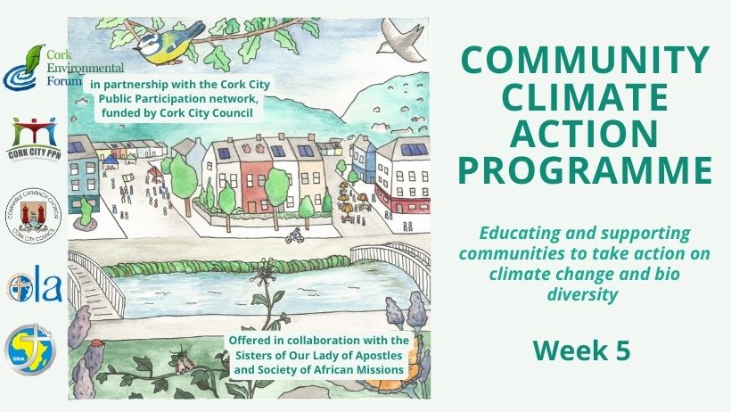 Community Climate Action week 5 | Missionary Sisters of Our Lady of ...